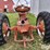 1947-mccormick-m-image-6