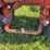 international-140-image-9