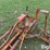 allis-chalmers-wc-image-20