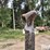 homemade-tire-changer-image-12