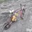 clinton-motorized-bicycle-image-5
