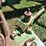 john-deere-450-image-15