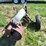badger-bn103-image-6