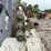 takeuchi-tl240-image-11