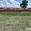 international-6200-image-6
