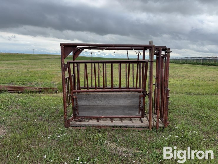 beef-master-cattle-chute-image-4