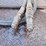 #1089-•-pearson-hydraulic-squeeze-chute-image-8