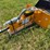 caterpillar-226-image-1