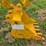 caterpillar-305-image-2
