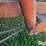 gilmore-dump-image-16