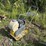 wacker-neuson-vp1550-image-2