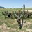 john-deere-16-image-2