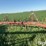 international-3-image-2