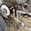 willmar-800-image-14