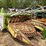 claas-4-row-rotary-corn-head-image-3
