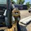 caterpillar-257b2-image-14