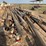 lot-of-(20)-11”-dia-x-25-to-35’-older-telephone-poles-image-2
