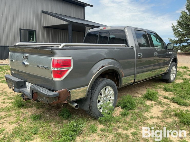 2010-ford-f150-platinum-image-5