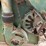 john-deere-4b-image-19