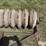 concrete-cultipacker-image-9