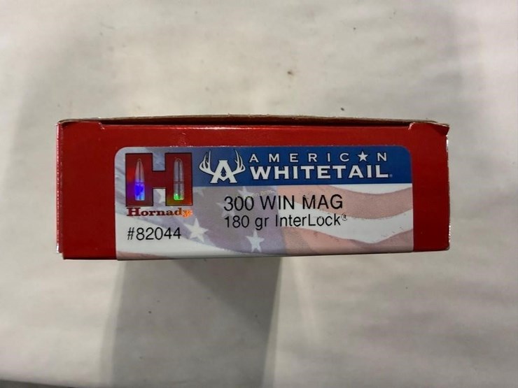american-300-image-2