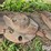 john-deere-265-image-18
