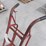 qty-of-(2)-steel-dolly(s)-image-10