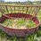 bale-feeder-image-11