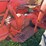 allis-chalmers-d15-series-ii-image-15