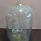 5-gallon-glass-carbuoy-image-1