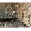 2018-caterpillar-d6n-lgp-image-8