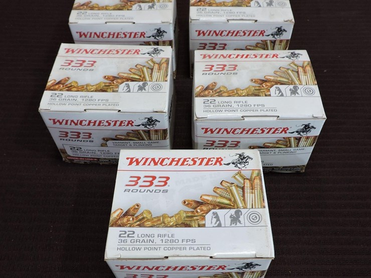 winchester-.22-lr,-36-grain-hp-image-1