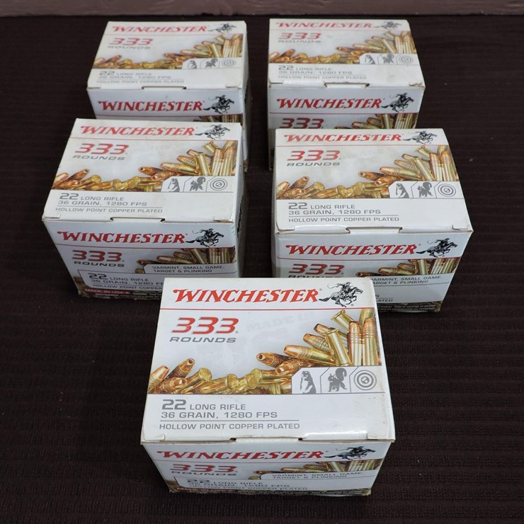 Winchester .22 LR, 36 Grain HP