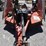 rhino-4155-image-3