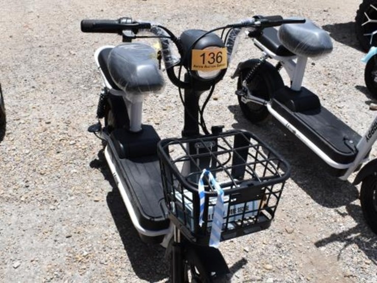electric-scooter-image-1