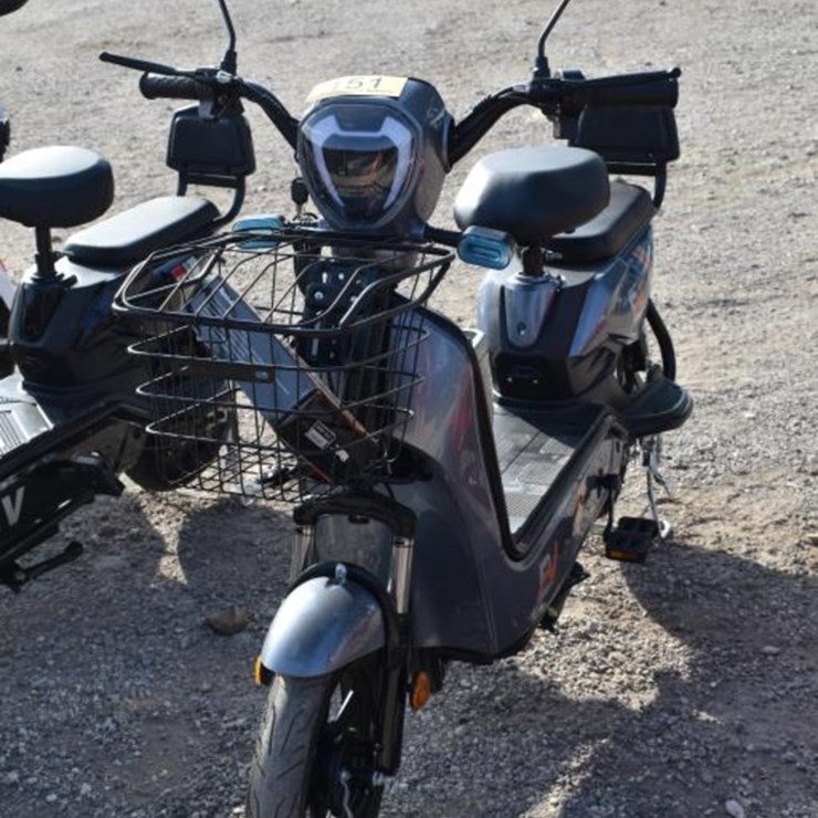 ELECTRIC SCOOTER
