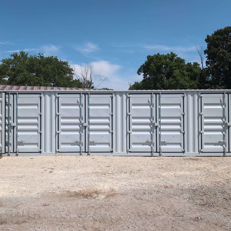 40 ft One Way Shipping Container Multi Door - YLEU2555700