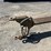1996-pioneer-quad-axle-pup-trailer-image-7