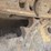 caterpillar-d5c-image-43