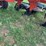 blanchat-9-bottom-plow-image-10