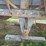 #2450-•-cedarapids-triple-deck-wash-plant-image-18