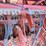 hesston-4900-image-38