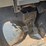 bobcat-toolcat-5600-image-30