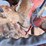 hesston-4900-image-41