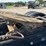 2015-peterbilt-389-image-64