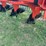 blanchat-9-bottom-plow-image-9