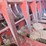 hesston-4900-image-24