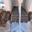 willmar-500-image-21