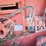 hesston-4900-image-56