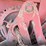 hesston-4900-image-20